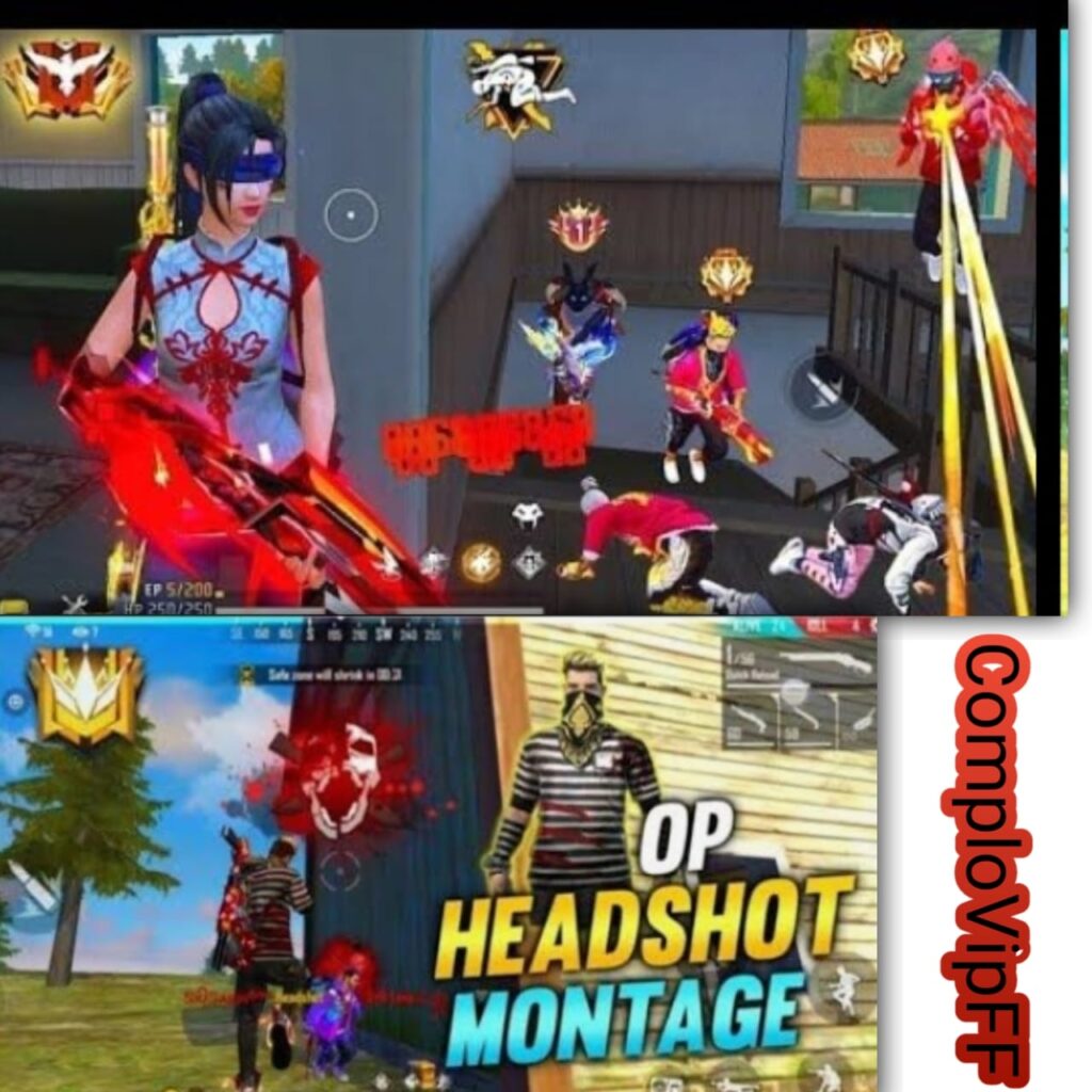 Complovipff