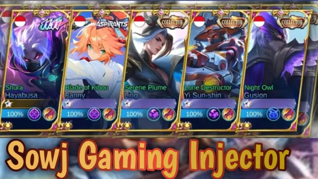Sowj Gaming injector