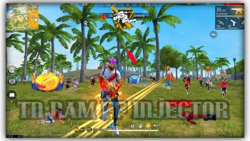 TN RAM FF Injector