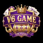 V6 Game